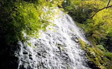 龍双ヶ滝｜福井県池田町 Ryusogataki Falls | Ikeda Town, Fukui Prefecture